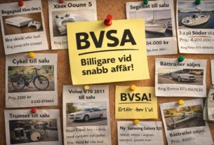 bvsa